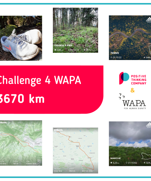 Challenge4Wapa: we took up the challenge!