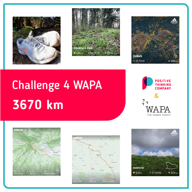 Challenge4Wapa: we took up the challenge!