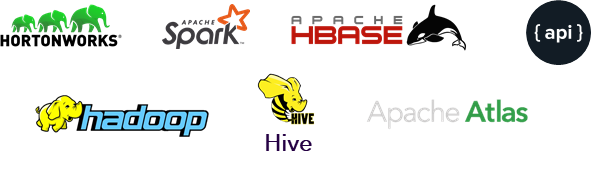 Technologies used for this project: Hortonworks, Apache Spark, Apache Hbase, API, Hadoop, Hive and Apache Atlas