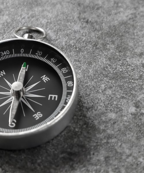 Navigating NLP Project Success: The Critical Role of NLP Experts