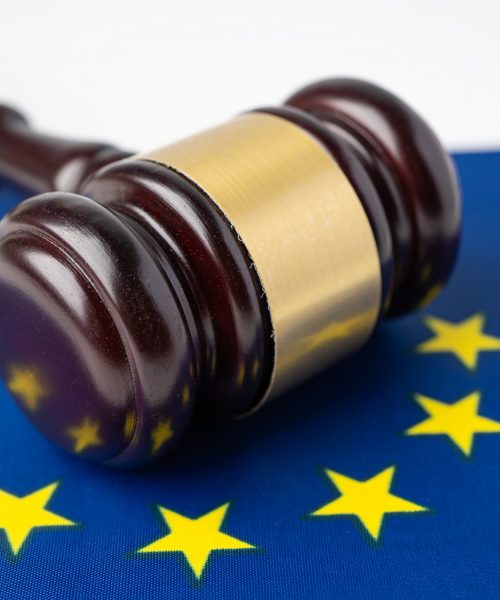 Navigeren door de EU AI Act: Hoe Explainable AI de Regulatory Compliance vereenvoudigt
