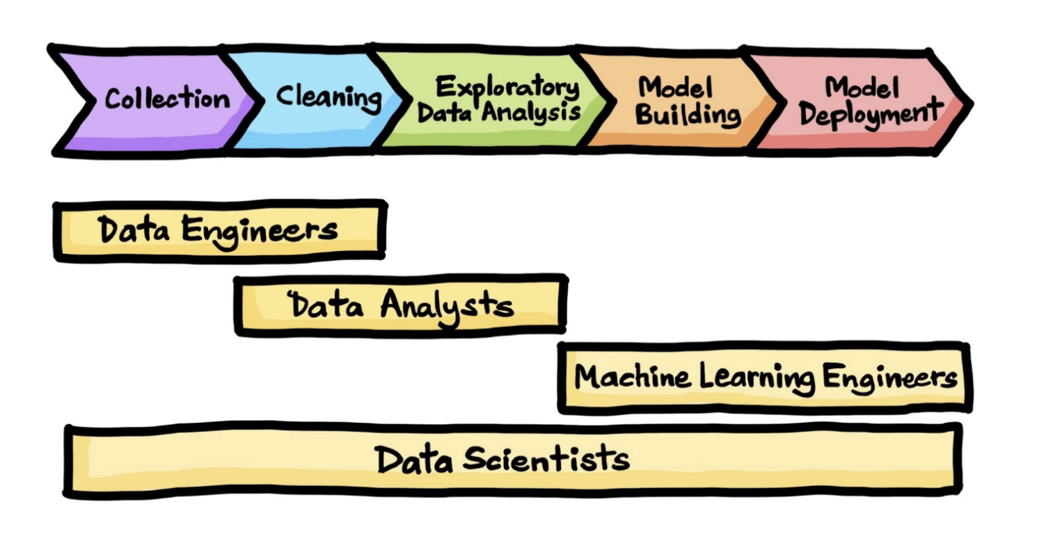Machine Learning Engineer et évolution du métier de Data Scientist
